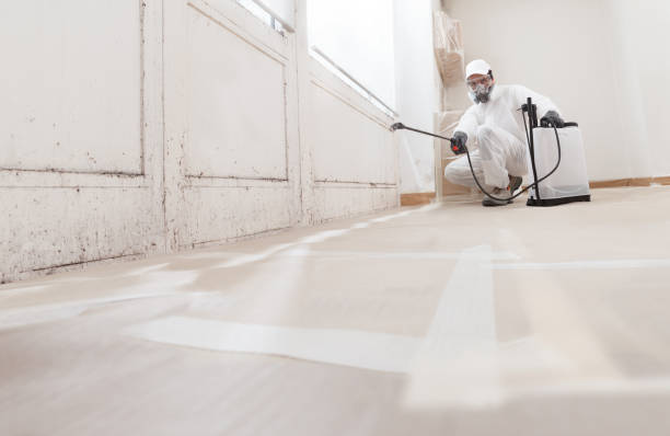 24/7 Emergency Black Mold Removal experts in Butler, GA
